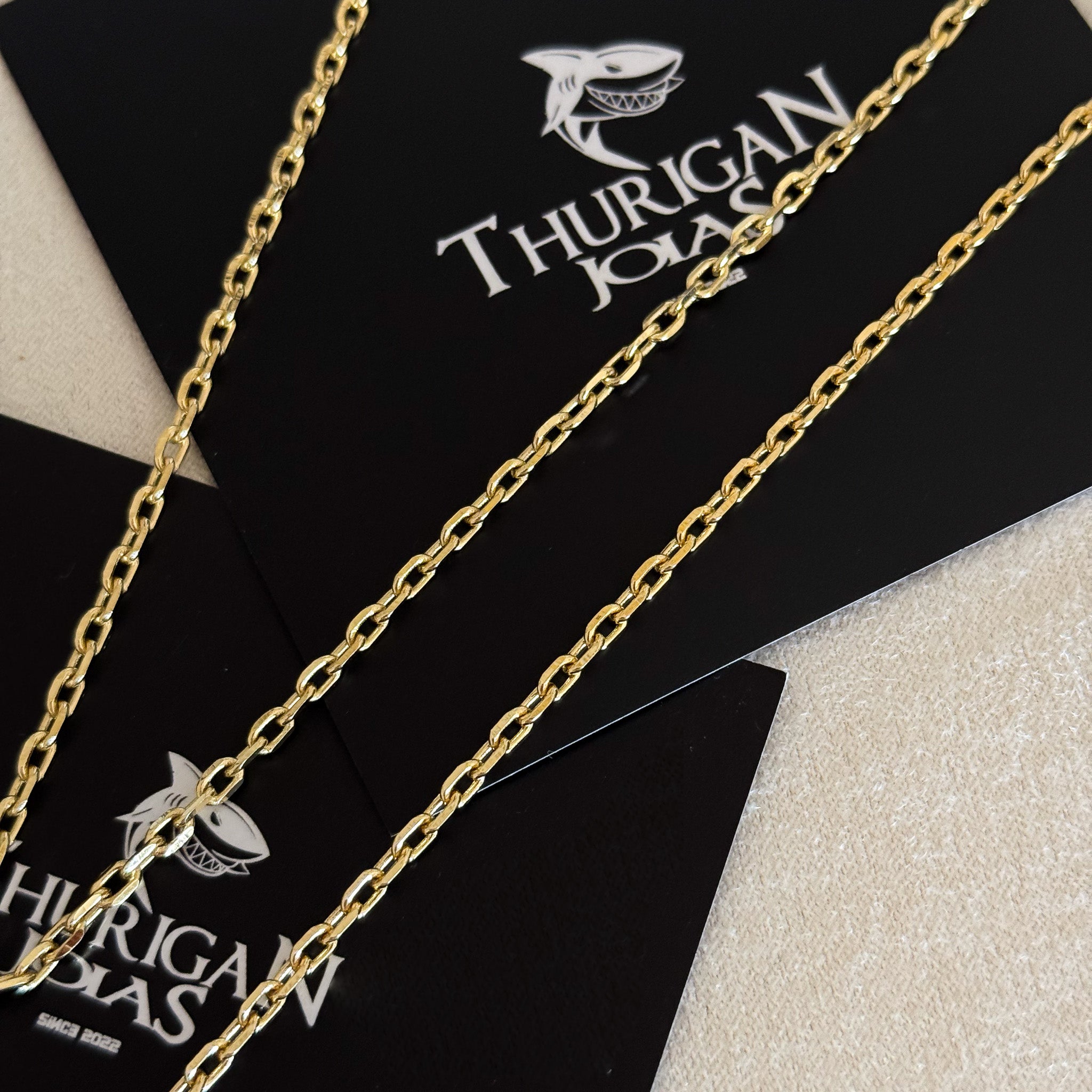 Colar Crucifixo Leão Judá - Corrente e Pulseira Cadeado 2mm Banhado A Ouro 18k