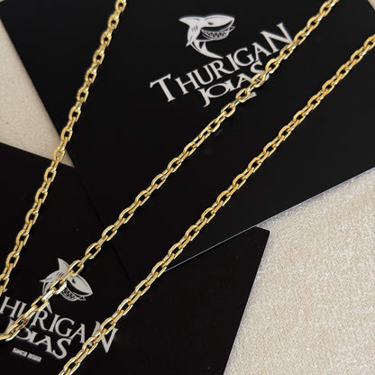 Colar Crucifixo Leão Judá - Corrente e Pulseira Cadeado 2mm Banhado A Ouro 18k