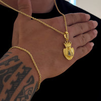 Colar Coração N. Sra. Aparecida Cravejado P - Corrente e Pulseira Baiana Banhado A Ouro 18k