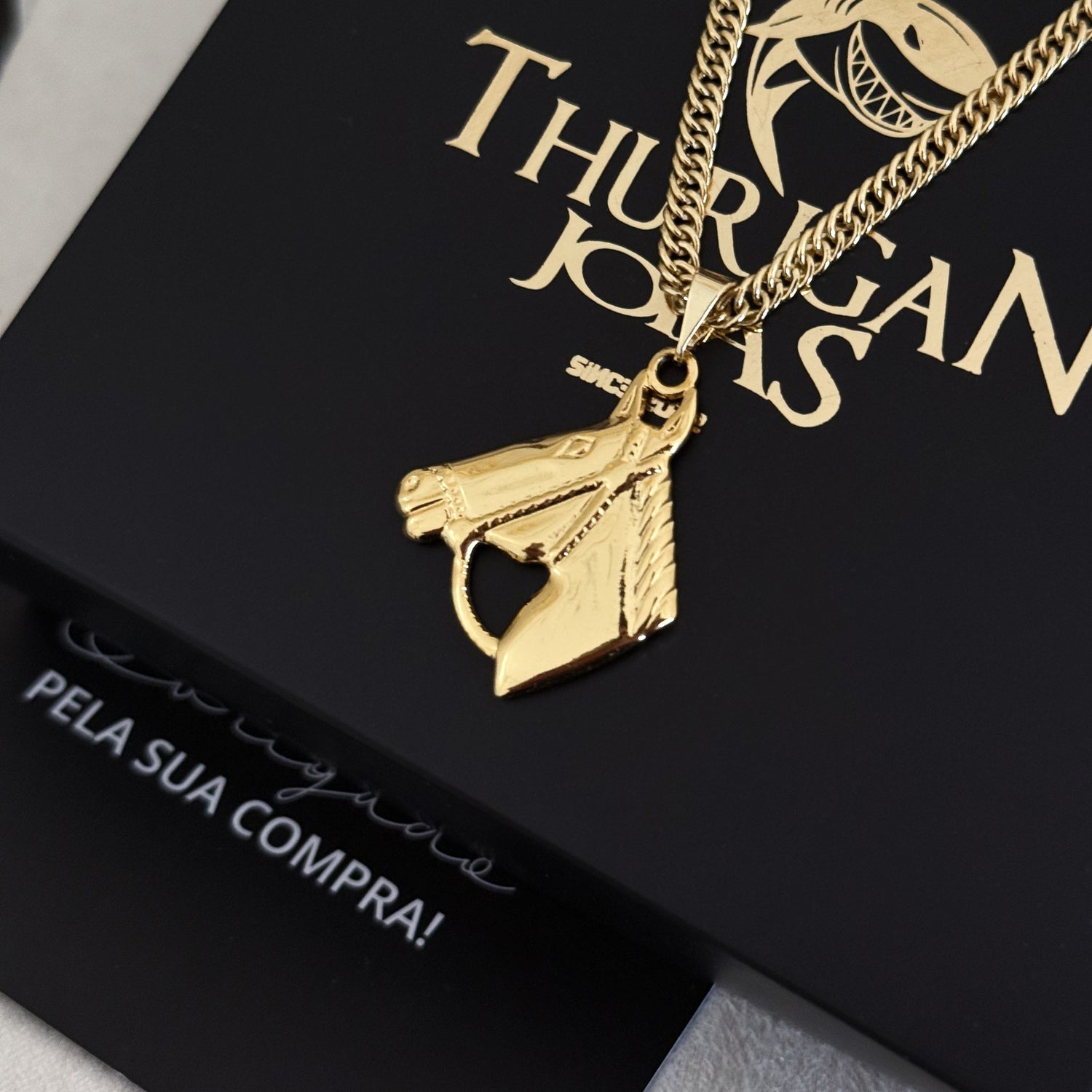 Colar Cavalo - Corrente Lacraia Banhado A Ouro 18k
