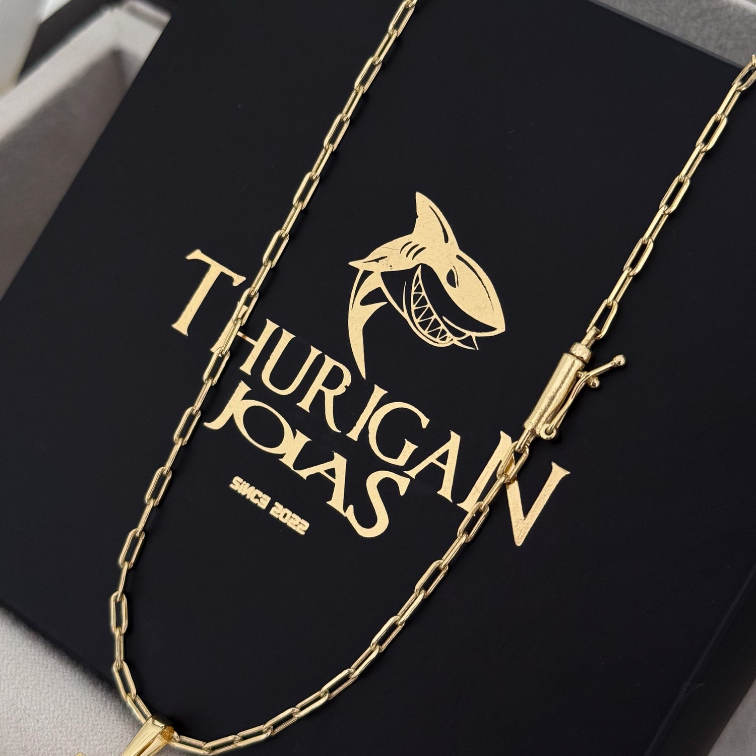 Colar Plaquinha De Letra - Corrente Cadeado Alongado Banhado A Ouro 18k